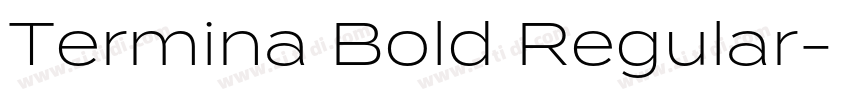Termina Bold Regular字体转换